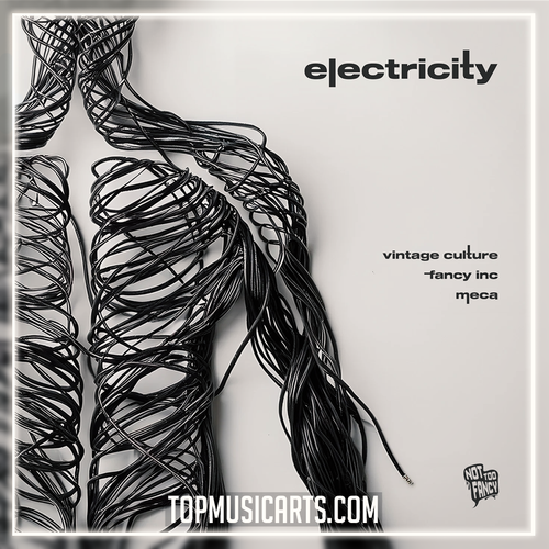 Vintage Culture, Fancy Inc, Meca - Electricity Ableton Remake (Melodic House)