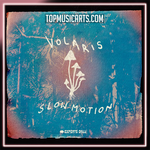 Volaris - Slow Motion Ableton Remake (Melodic Techno)