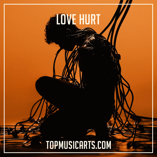 Anyma feat. Bipolar Sunshine - Love Hurt (Ableton Remake)