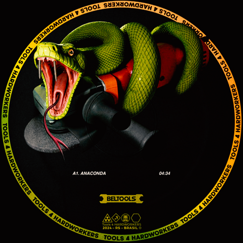 Beltran (BR) - Anaconda Ableton Remake (Minimal / Deep Tech)
