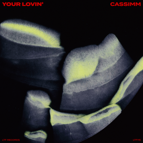 CASSIMM - Your Lovin Ableton Remake (Tech House)