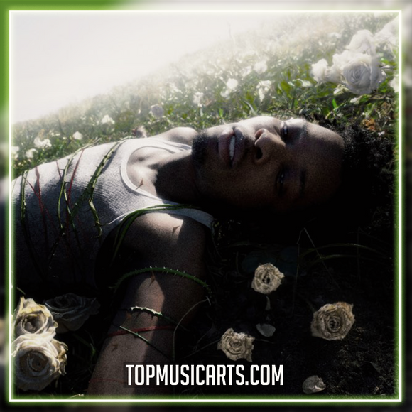 d4vd - Is This Really Love Ableton Remake (Pop)