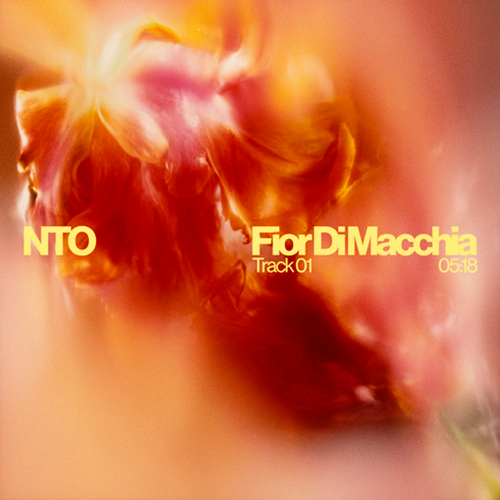 NTO - Fior Di Macchia Ableton Remake (Melodic House)