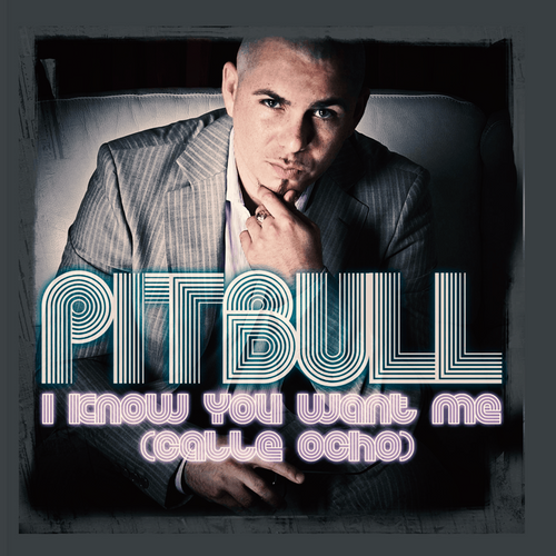 Pitbull - I Know You Want Me (Calle Ocho) Ableton Remake (Reggaeton)