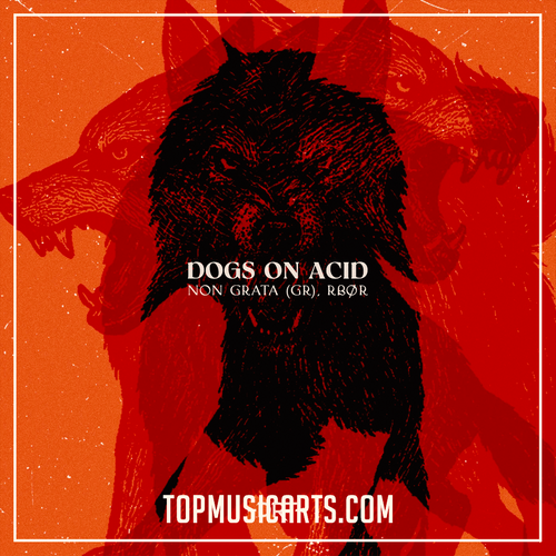 RBØR, Non Grata (GR) - Dogs On Acid Ableton Remake (Afro House)