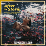 Kali Uchis ft. Tyler, The Creator & Bootsy Collins - After The Storm Ableton Remake (Pop)