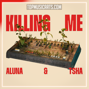 Aluna & TSHA - Killing Me Ableton Remake (House)