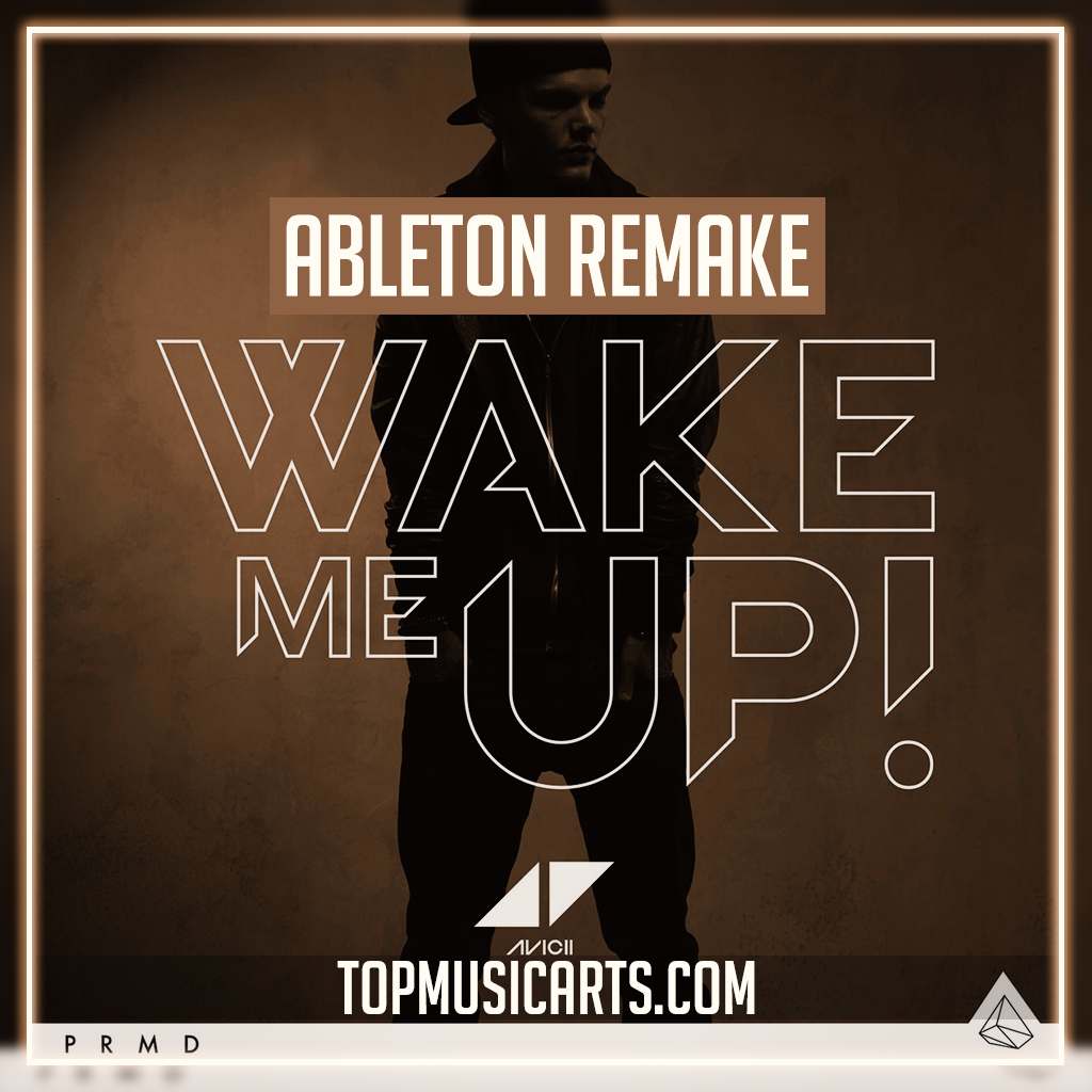 Avicii Wake Me Up Music Video