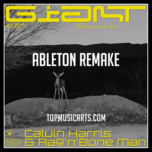 Calvin Harris & Rag'n'Bone Man - Giant (Ableton Remake)