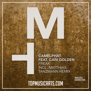 Camelphat ft Cari Golden - Freak Ableton Remake (Tech House Template)