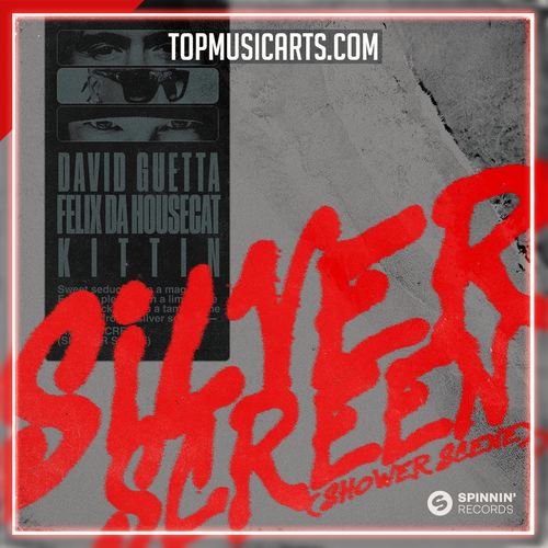 David Guetta x Felix Da Housecat x Kittin - Silver Screen Ableton Remake (Tech House)