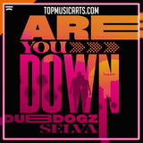 Dubdogz x Selva - Are You Down Ableton Remake (Pop House)