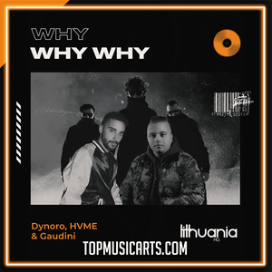 Dynoro, HVME & Gaudini - WHY WHY WHY Ableton Remake (Deep House)