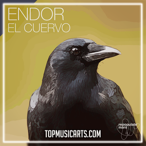 Endor - El Cuervo Ableton Remake (Tech House)