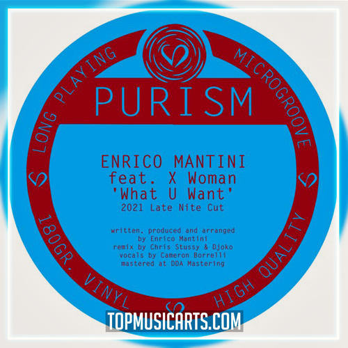 Enrico Mantini feat. X Woman - What U Want (Chris Stussy & Djoko Remix) (Ableton Remake)