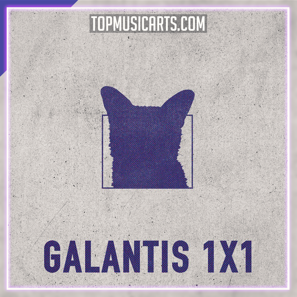 Galantis - 1x1 Ableton Remake (Dance)