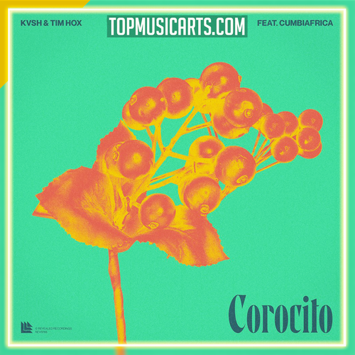KVSH & Tim Hox feat. Cumbiafrica - Corocito Ableton Remake (Latin House)