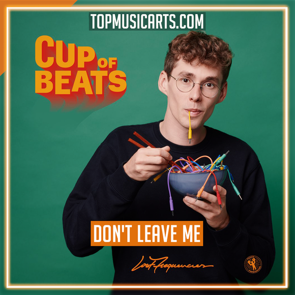 Lost Frequencies feat. Mathieu Koss - Don't Leave Me Ableton Remake (Dance)