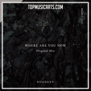 Roudeep - Where Are You Now Ableton Remake (Deep House)