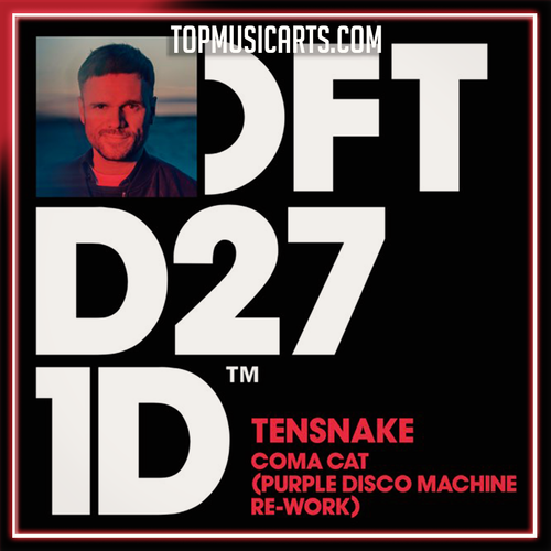 Tensnake - Coma Cat (Purple Disco Machine Extended Re Work) Ableton Remake (Synthpop)
