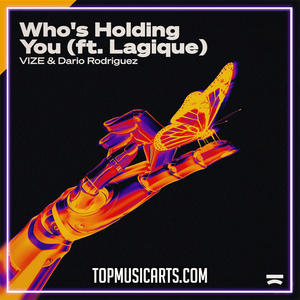 VIZE, Dario Rodriguez feat. Lagique - Who's Holding You Ableton Remake (Pop House)