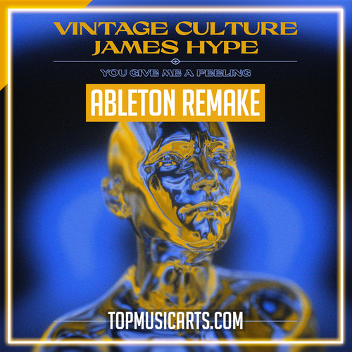 Vintage Culture, James Hype - You Give Me A Feeling ABLETON 11 Remake (Tech House)